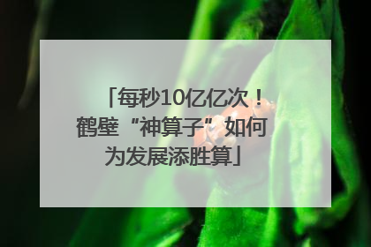 每秒10亿亿次！鹤壁“神算子”如何为发展添胜算
