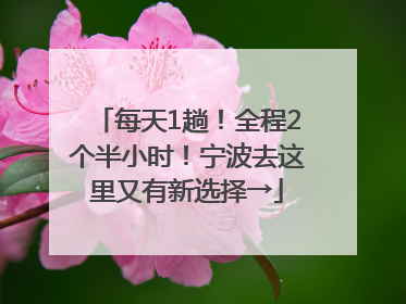 每天1趟！全程2个半小时！宁波去这里又有新选择→