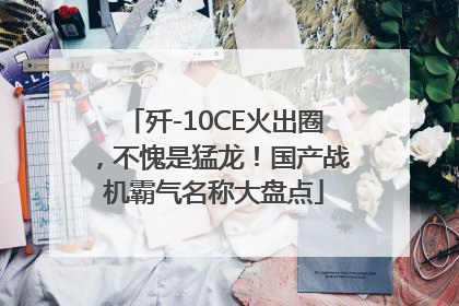 歼-10CE火出圈，不愧是猛龙！国产战机霸气名称大盘点