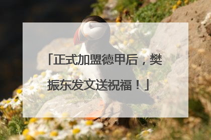 正式加盟德甲后，樊振东发文送祝福！