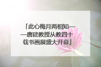 此心梅月两相知——唐建教授从教四十载书画展盛大开幕