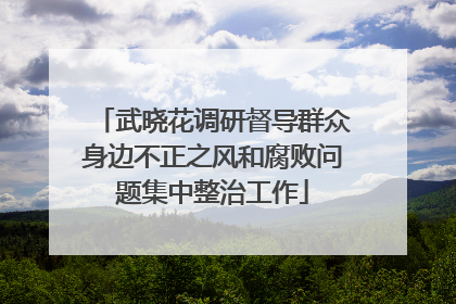 武晓花调研督导群众身边不正之风和腐败问题集中整治工作