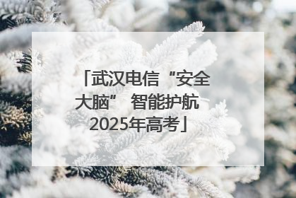 武汉电信“安全大脑” 智能护航2025年高考
