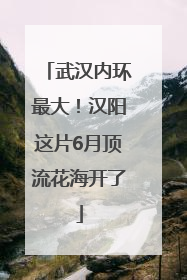 武汉内环最大！汉阳这片6月顶流花海开了