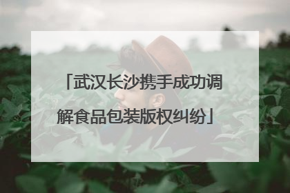 武汉长沙携手成功调解食品包装版权纠纷
