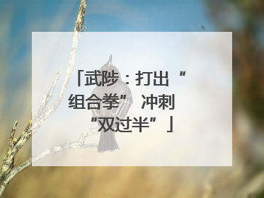 武陟：打出“组合拳” 冲刺“双过半”