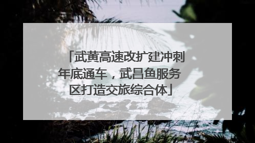 武黄高速改扩建冲刺年底通车，武昌鱼服务区打造交旅综合体