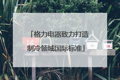 格力电器致力打造制冷领域国际标准