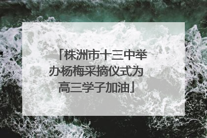 株洲市十三中举办杨梅采摘仪式为高三学子加油
