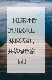 桂花坪街道开展六五环保活动，共筑绿色家园