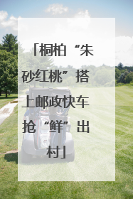 桐柏“朱砂红桃”搭上邮政快车抢“鲜”出村