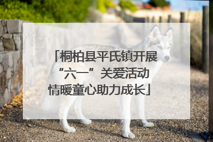 桐柏县平氏镇开展“六一”关爱活动 情暖童心助力成长