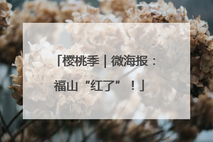 樱桃季｜微海报：福山“红了”！