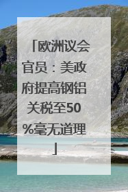 欧洲议会官员：美政府提高钢铝关税至50%毫无道理
