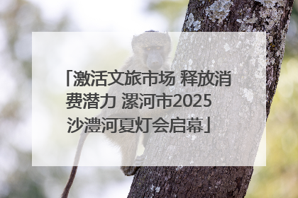 激活文旅市场 释放消费潜力 漯河市2025沙澧河夏灯会启幕