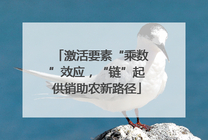 激活要素“乘数”效应，“链”起供销助农新路径