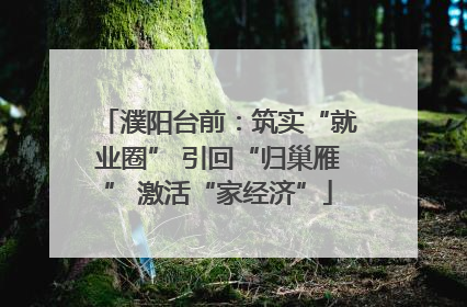 濮阳台前：筑实“就业圈” 引回“归巢雁” 激活“家经济”