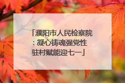 濮阳市人民检察院：凝心铸魂强党性 驻村赋能迎七一