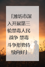 潍坊市深入开展第三轮禁毒人民战争 禁毒斗争形势持续向好