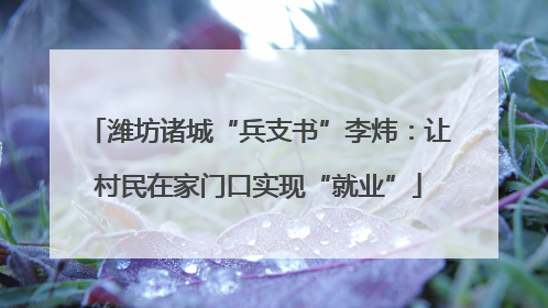 潍坊诸城“兵支书”李炜：让村民在家门口实现“就业”