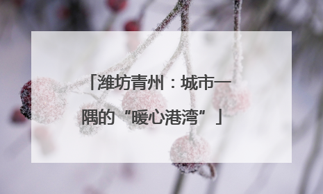 潍坊青州：城市一隅的“暖心港湾”