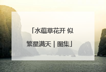 水蕴草花开 似繁星满天｜图集