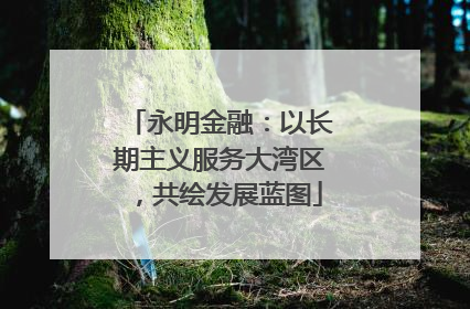 永明金融：以长期主义服务大湾区，共绘发展蓝图