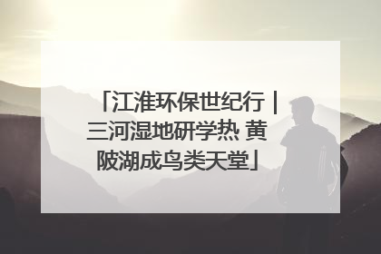 江淮环保世纪行｜三河湿地研学热 黄陂湖成鸟类天堂