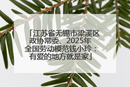 江苏省无锡市梁溪区政协常委、2025年全国劳动模范钱小玲：有爱的地方就是家