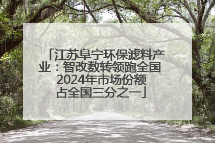 江苏阜宁环保滤料产业：智改数转领跑全国 2024年市场份额占全国三分之一