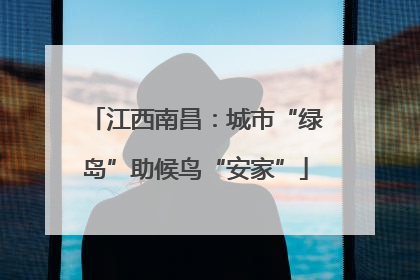 江西南昌：城市“绿岛”助候鸟“安家”