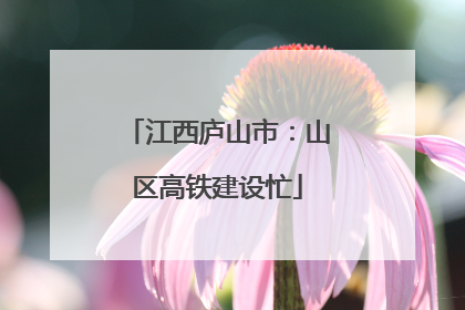 江西庐山市：山区高铁建设忙