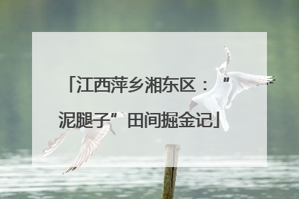 江西萍乡湘东区：“泥腿子”田间掘金记