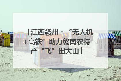 江西赣州：“无人机+高铁”助力赣南农特产“飞”出大山