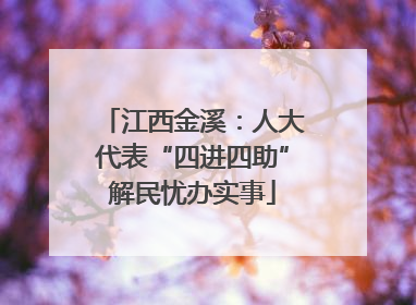 江西金溪：人大代表“四进四助”解民忧办实事