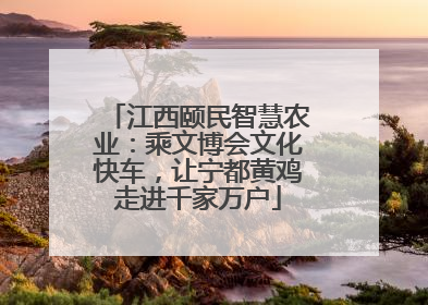 江西颐民智慧农业：乘文博会文化快车，让宁都黄鸡走进千家万户