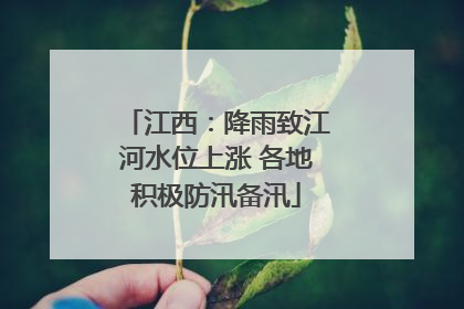 江西：降雨致江河水位上涨 各地积极防汛备汛