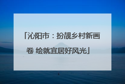 沁阳市：扮靓乡村新画卷 绘就宜居好风光