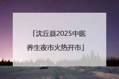 沈丘县2025中医养生夜市火热开市