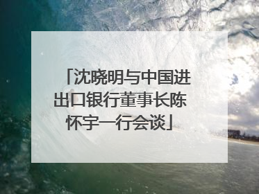 沈晓明与中国进出口银行董事长陈怀宇一行会谈