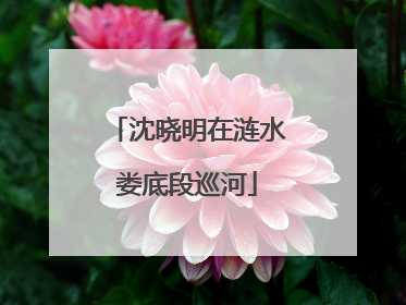沈晓明在涟水娄底段巡河