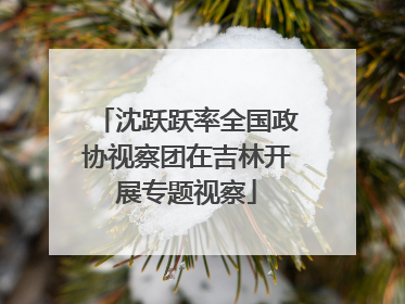 沈跃跃率全国政协视察团在吉林开展专题视察