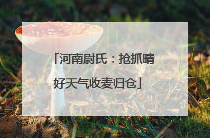 河南尉氏：抢抓晴好天气收麦归仓