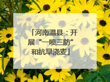 河南温县：开展“一喷三防”和抗旱浇麦