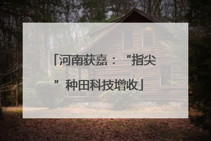 河南获嘉：“指尖”种田科技增收