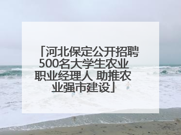 河北保定公开招聘500名大学生农业职业经理人 助推农业强市建设