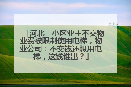 河北一小区业主不交物业费被限制使用电梯，物业公司：不交钱还想用电梯，这钱谁出？