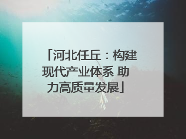 河北任丘：构建现代产业体系 助力高质量发展