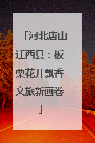 河北唐山迁西县：板栗花开飘香文旅新画卷