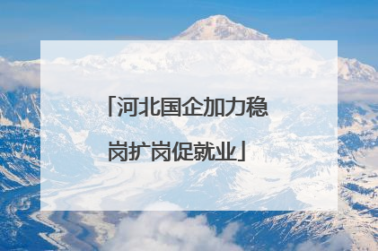 河北国企加力稳岗扩岗促就业